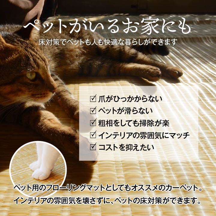 和室や洋室などペットがいるご家庭にもピッタリ!丸洗いできて汚れに強いのでダイニングラグにも使えるカーペット