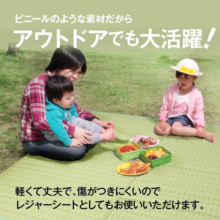 和室や洋室などペットがいるご家庭にもピッタリ!丸洗いできて汚れに強いのでダイニングラグにも使えるカーペット