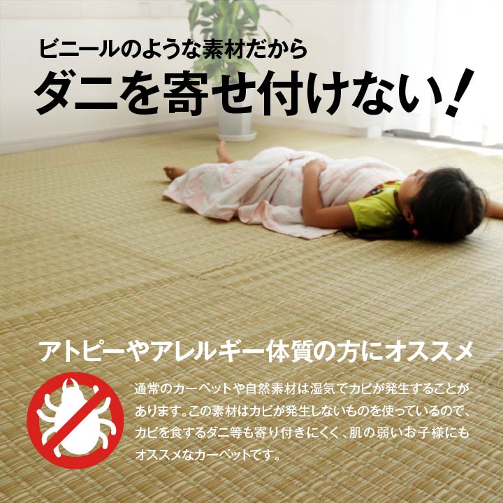 和室や洋室などペットがいるご家庭にもピッタリ!丸洗いできて汚れに強いのでダイニングラグにも使えるカーペット