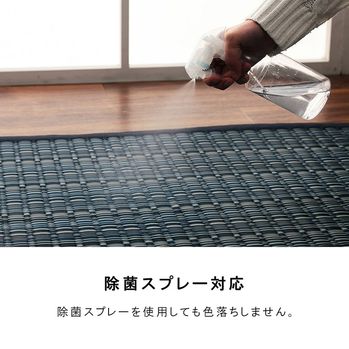 和室や洋室などペットがいるご家庭にもピッタリ!丸洗いできて汚れに強いのでダイニングラグにも使えるカーペット