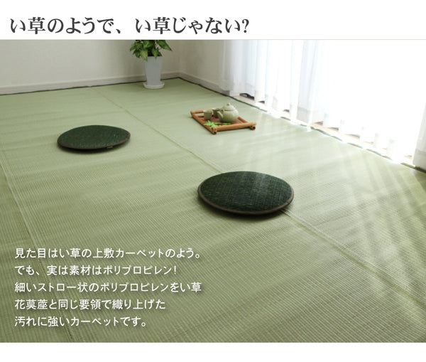 お手入れカンタン!洗えるい草調カーペット『五木』