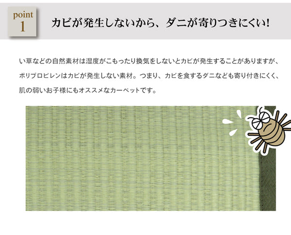 お手入れカンタン!洗えるい草調カーペット『五木』