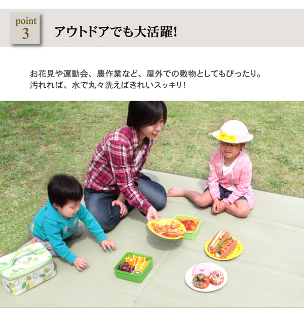 お手入れカンタン!洗えるい草調カーペット『五木』