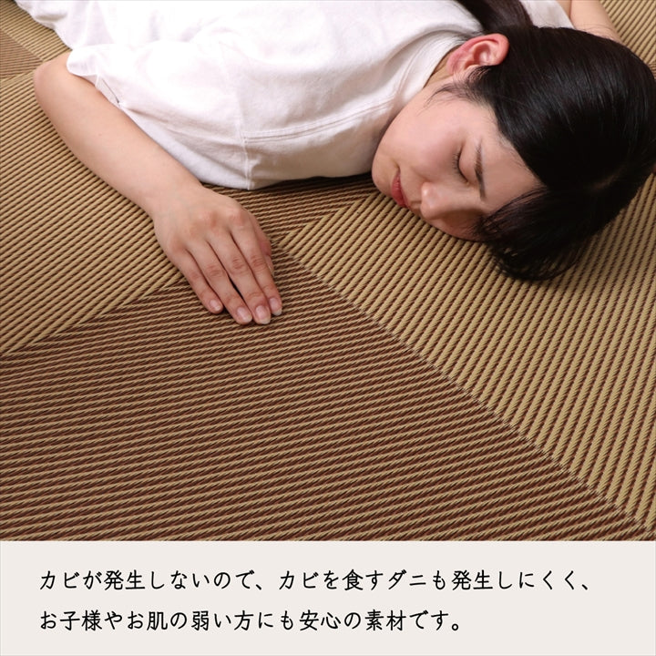 洗える ござ 日本製 国産 カーペット 丈夫 除菌スプレー対応 敷詰 ラグ 敷物 アウトドア レジャー ペット ラグ ラフテル