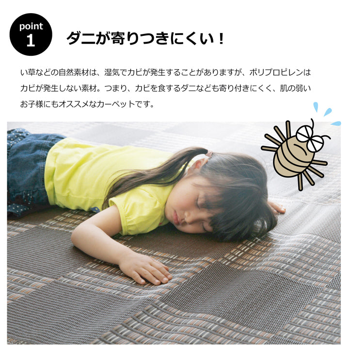 お手入れカンタンない草調ポリプロピレンカーペット ウィード