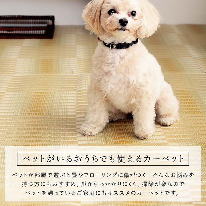 汚れても水洗いができる日本製カーペット!ペットを飼っているご家庭にもオススメです
