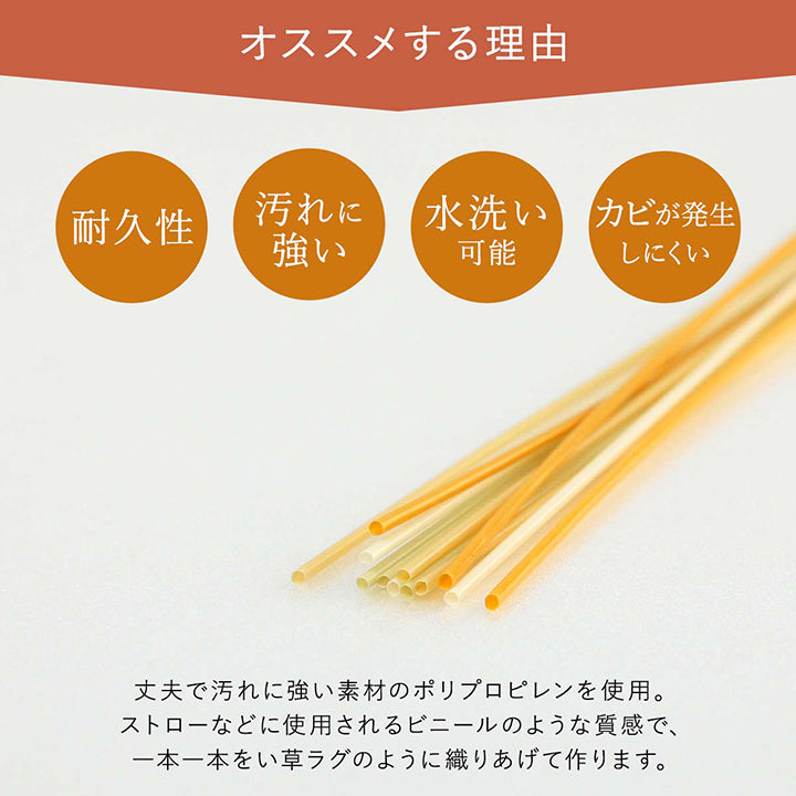 汚れても水洗いができる日本製カーペット!ペットを飼っているご家庭にもオススメです
