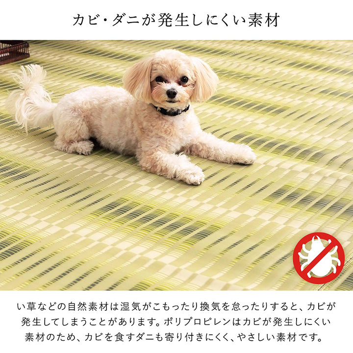 汚れても水洗いができる日本製カーペット!ペットを飼っているご家庭にもオススメです