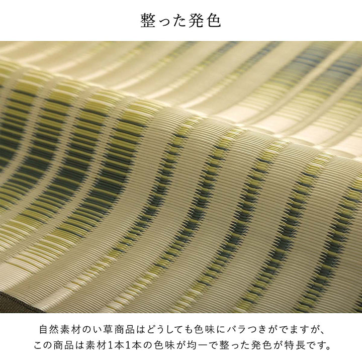汚れても水洗いができる日本製カーペット!ペットを飼っているご家庭にもオススメです