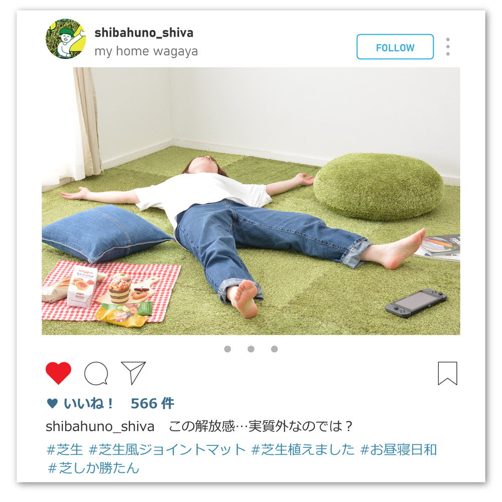 室内のお部屋にいながらアウトドア気分を味わえる芝生風ジョイントマット! シーヴァ