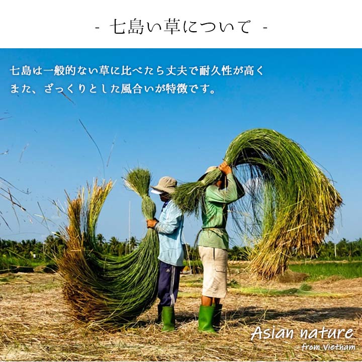 大切な方へのプレゼントとしても最適な七島い草のスリッパ