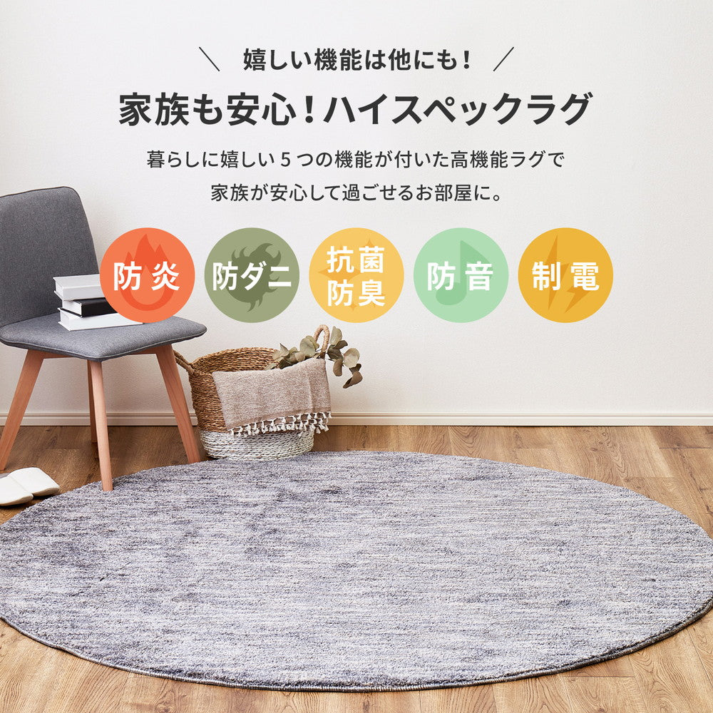 日本製高機能防ダニ・抗菌防臭・防音・防炎・制電の丈夫で長持ちナイロン素材のラグ ビビ