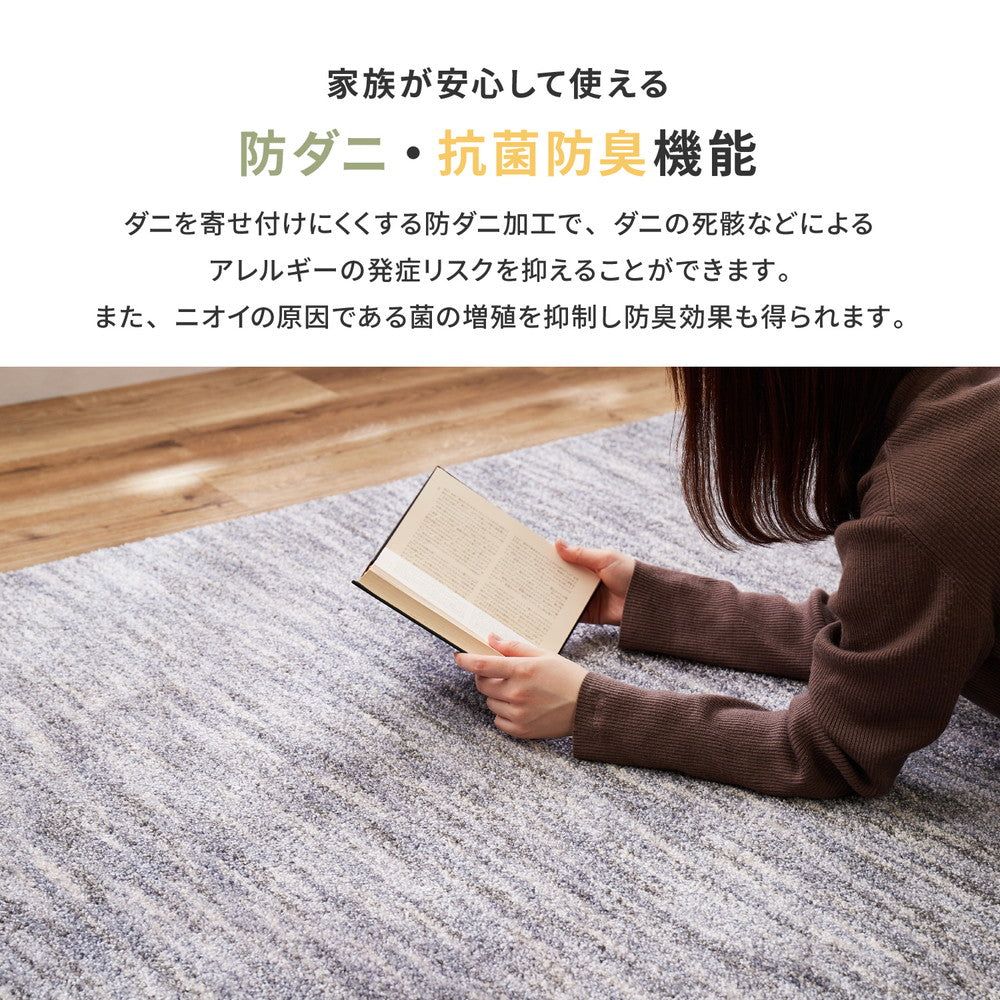 日本製高機能防ダニ・抗菌防臭・防音・防炎・制電の丈夫で長持ちナイロン素材のラグ ビビ