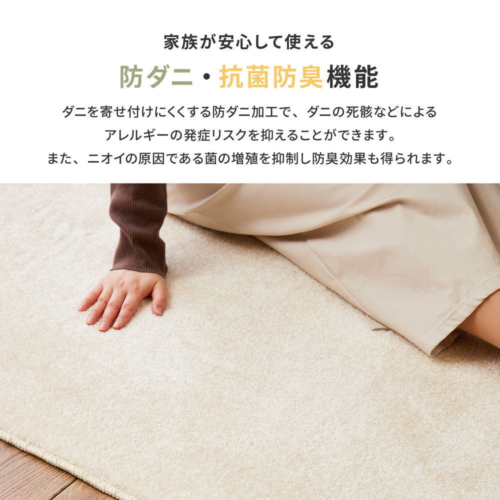 使われなくなった『漁網』を再利用して作られた、環境にやさしいエコなラグ!日本製高機能防ダニ・抗菌防臭・防音・防炎・制電の丈夫で長持ちナイロン素材のラグ ララ