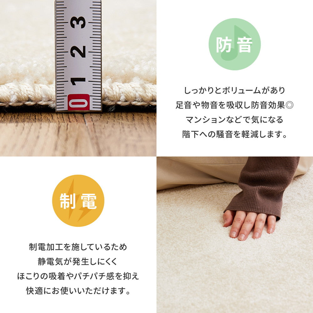 使われなくなった『漁網』を再利用して作られた、環境にやさしいエコなラグ!日本製高機能防ダニ・抗菌防臭・防音・防炎・制電の丈夫で長持ちナイロン素材のラグ ララ