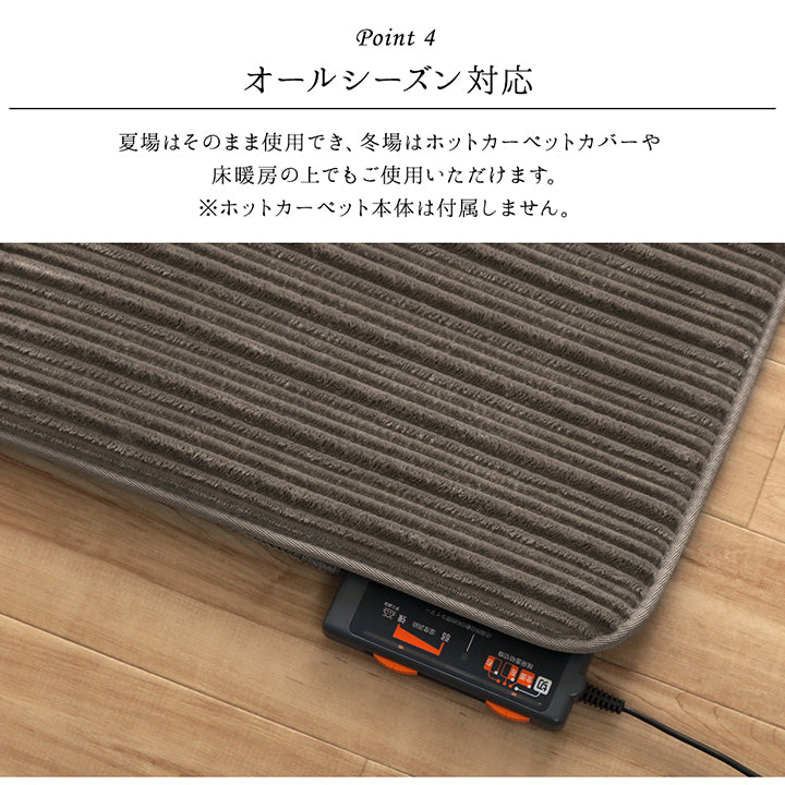 中材に低反発ウレタンを使用したボリュームタイプラグ レミール