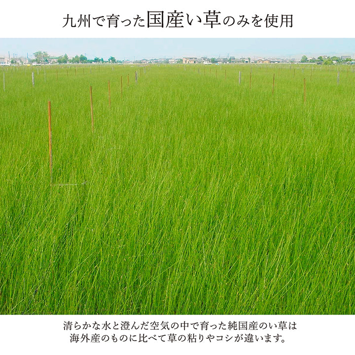 あらゆるライフスタイルに溶け込む洗練されたモダンデザイン い草花ござカーペット
