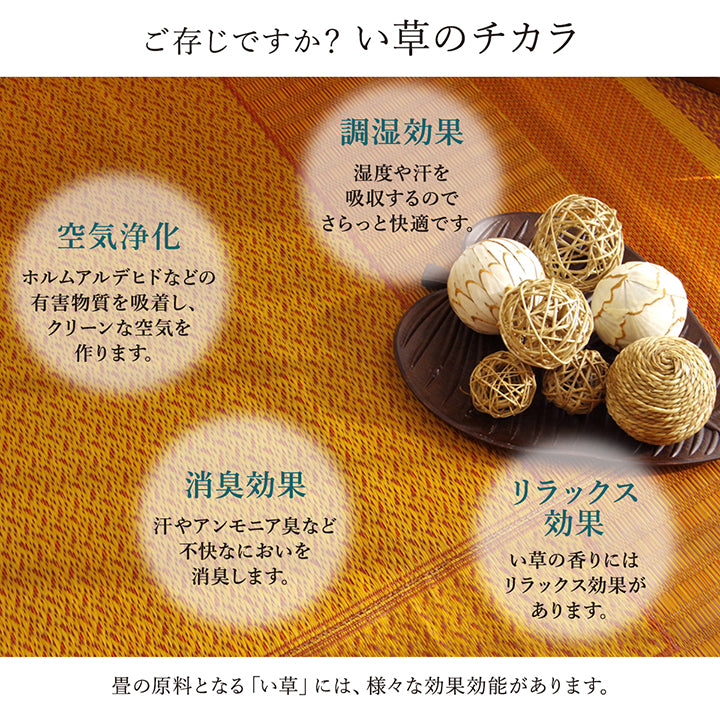 あらゆるライフスタイルに溶け込む洗練されたモダンデザイン い草花ござカーペット 裏面:不織布タイプ