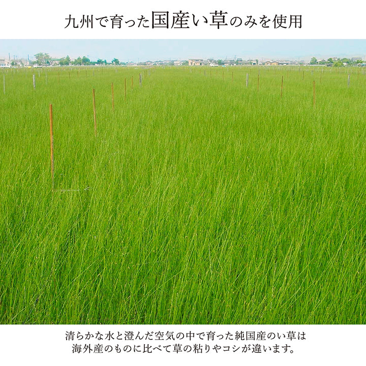 あらゆるライフスタイルに溶け込む洗練されたモダンデザイン い草花ござカーペット 裏面:不織布タイプ
