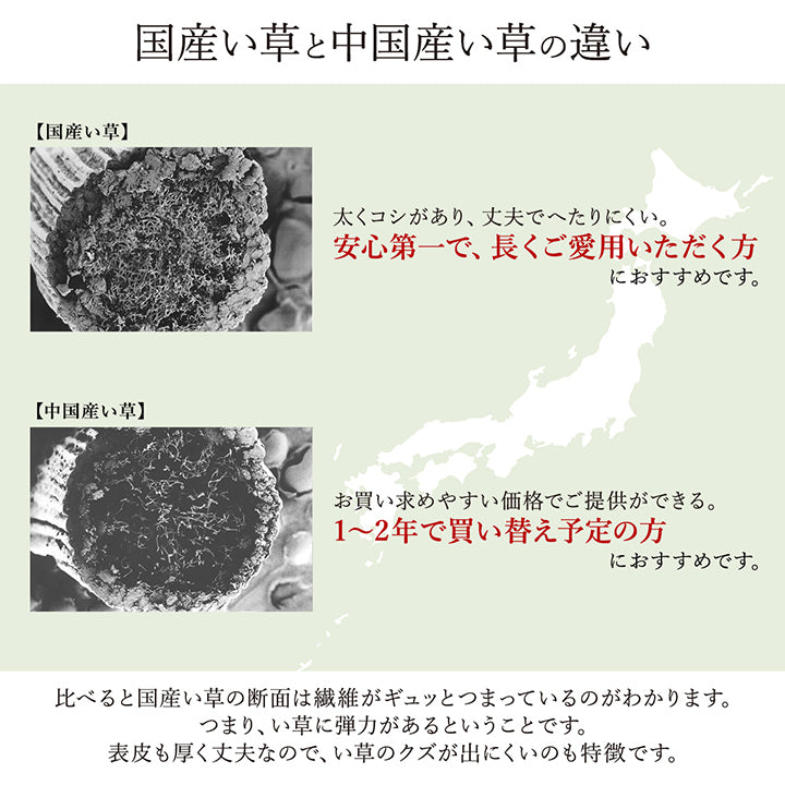 あらゆるライフスタイルに溶け込む洗練されたモダンデザイン い草花ござカーペット 裏面:不織布タイプ