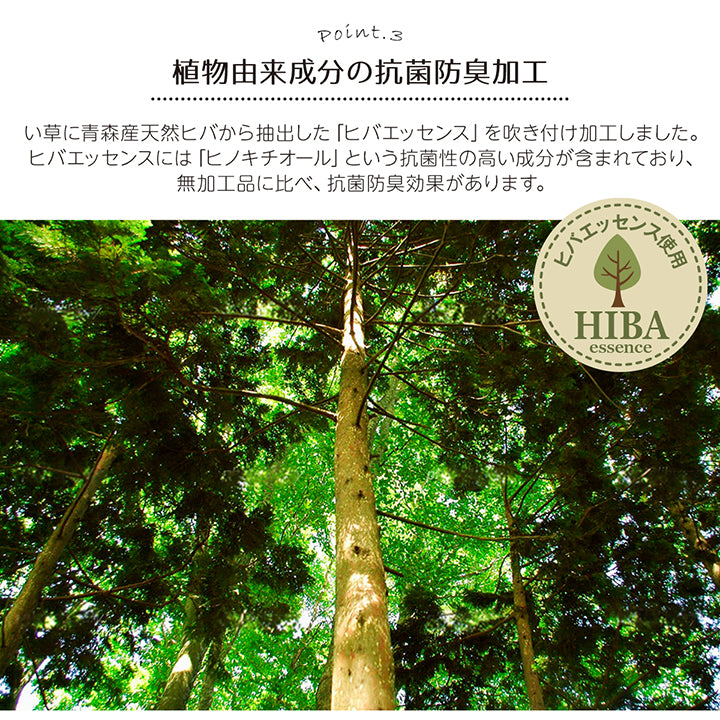 ギャベ柄で明るいデザインに仕上げたい草花ござカーペット 裏面:不織布タイプ