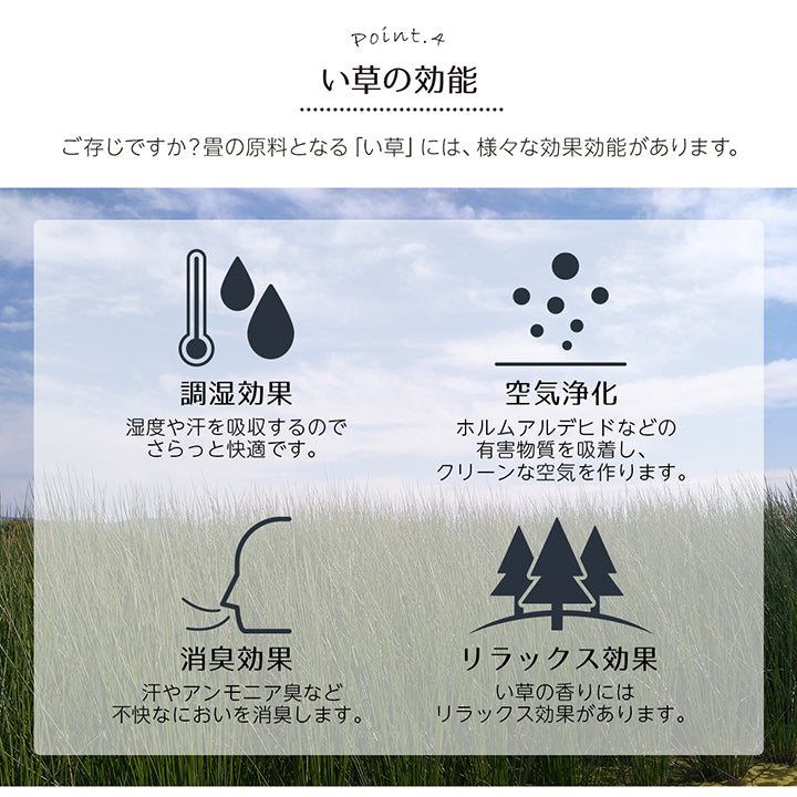 ギャベ柄で明るいデザインに仕上げたい草花ござカーペット 裏面:不織布タイプ