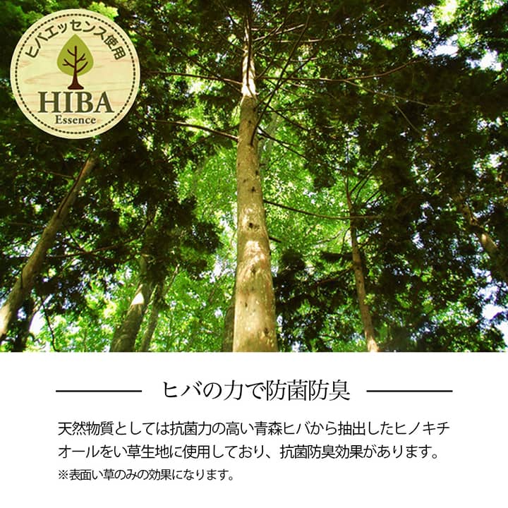 どんなお部屋も和室の雰囲気にしてくれる い草ラグ・カーペット 裏面不織布タイプ