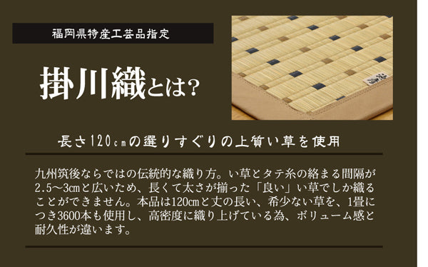 シンプルなデザインの掛川織い草カーペット スウィート 裏面:不織布