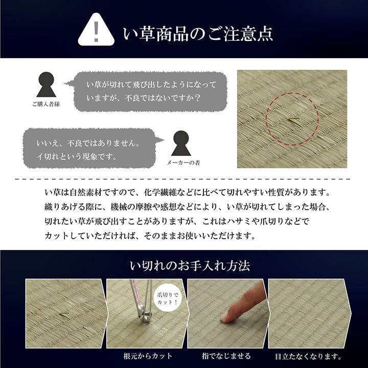 【福岡県品評会最優秀賞】美しく洗練されたモダンデザインの掛川織い草カーペット