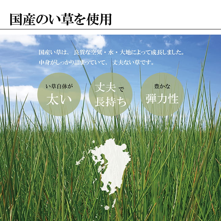 【福岡県品評会最優秀賞】美しく洗練されたモダンデザインの掛川織い草カーペット
