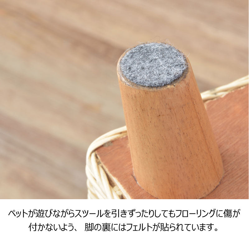 ペットと一緒にくつろぐことができるペットハウススツール