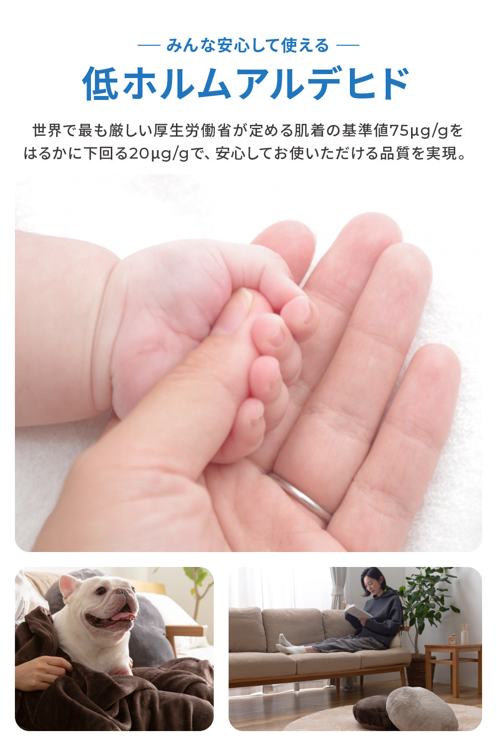 mofua(モフア) プレミアムマイクロファイバー ラウンドクッション