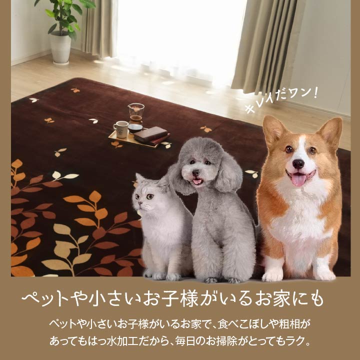 とにかくビッグサイズ! なめらかな肌触りのフランネルラグ オーバ