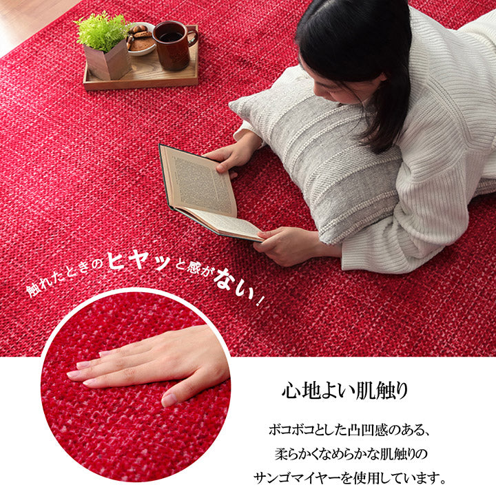 ボコボコとした凸凹のある柔らかくなめらかな肌触りのサンゴマイヤーを使用したラグ ノート