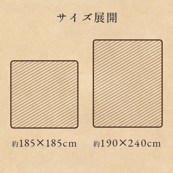 お洒落なチェックの額縁調デザインラグ カリス