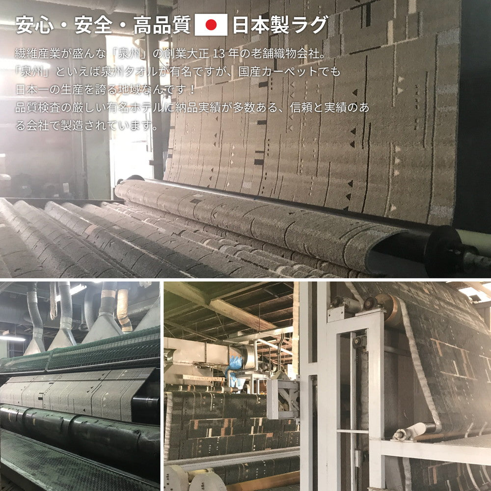 ファブリーズW消臭機能付き!4大悪臭(汗臭、加齢臭、脂臭、アンモニア臭)を消臭する快適生活ラグ デオモダン