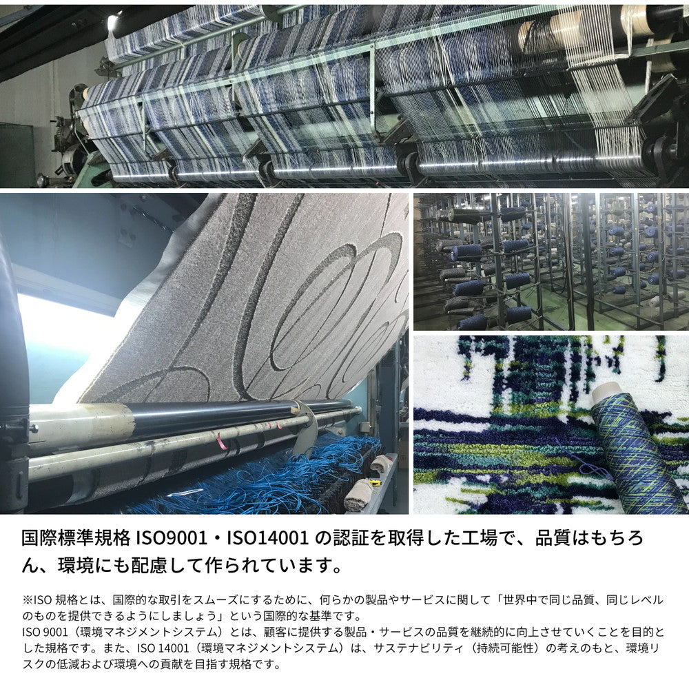 ファブリーズW消臭機能付き!4大悪臭(汗臭、加齢臭、脂臭、アンモニア臭)を消臭する快適生活ラグ デオモダン