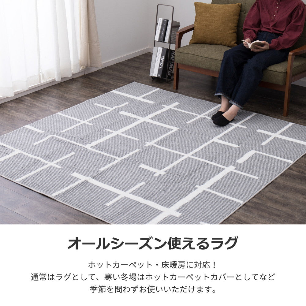 ファブリーズW消臭機能付き!4大悪臭(汗臭、加齢臭、脂臭、アンモニア臭)を消臭する快適生活ラグ デオモダン