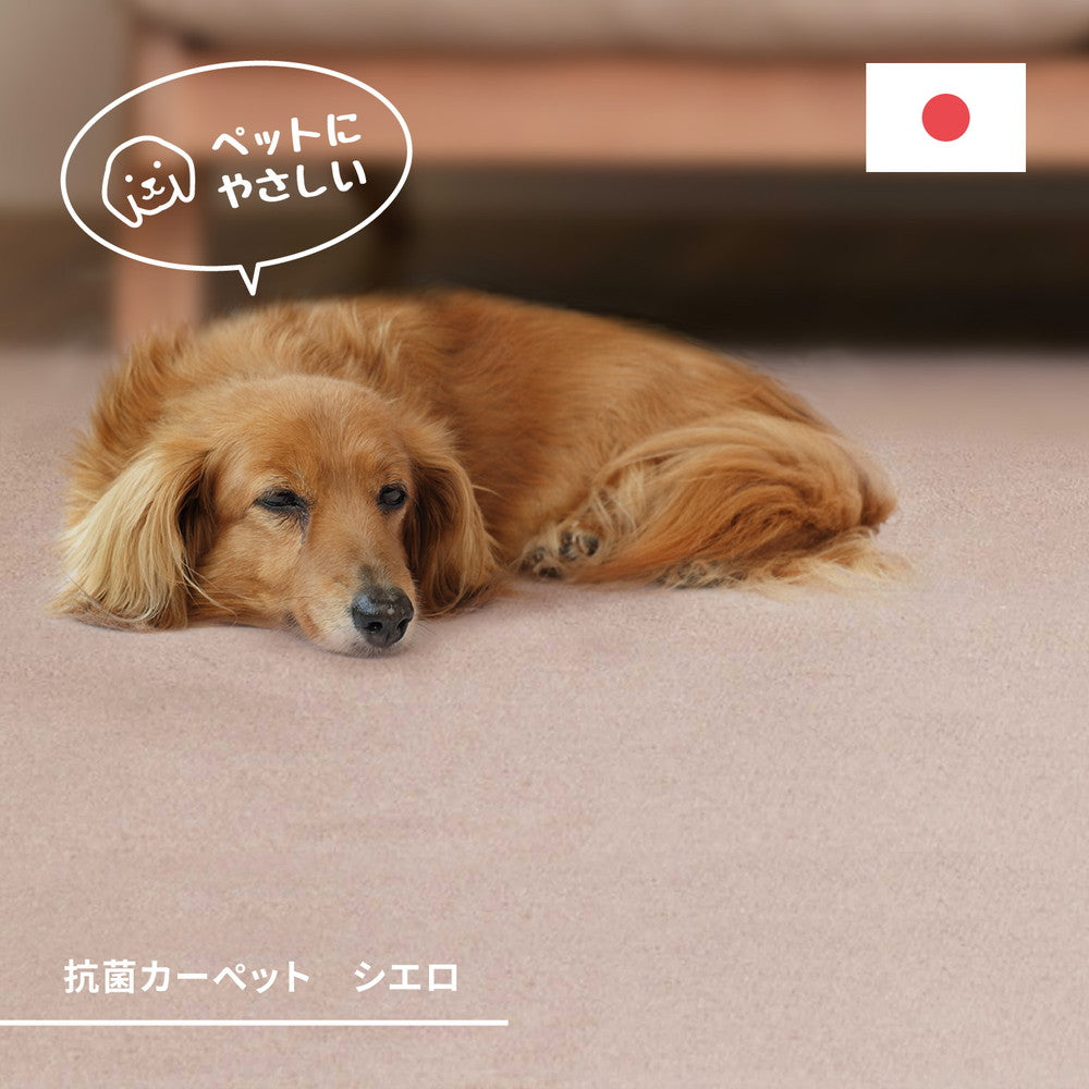 ふわふわやわらかなパイルが気持ちいい、抗菌機能付きカーペット シエロ