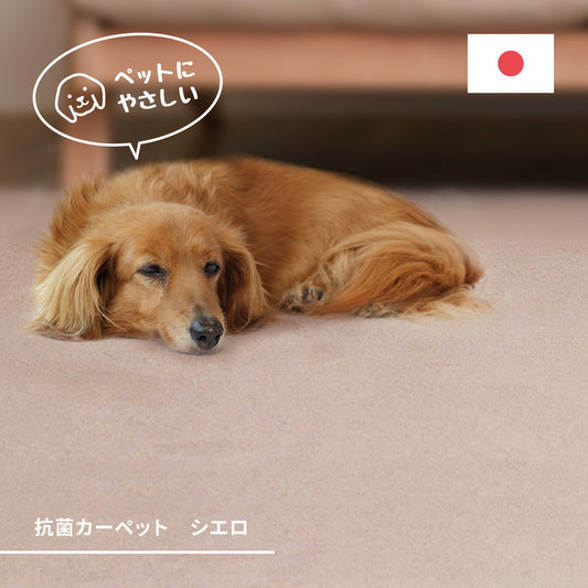 ふわふわやわらかなパイルが気持ちいい、抗菌機能付きカーペット シエロ