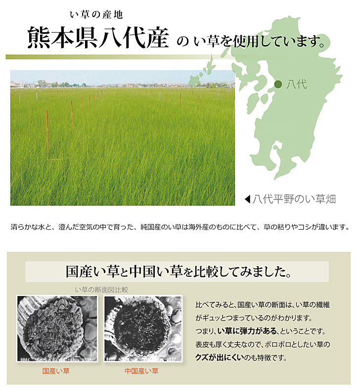 熊本県八代産い草使用のい草上敷きカーペット市松織 不知火(しらぬい) 江戸間・本間・三六間・団地間