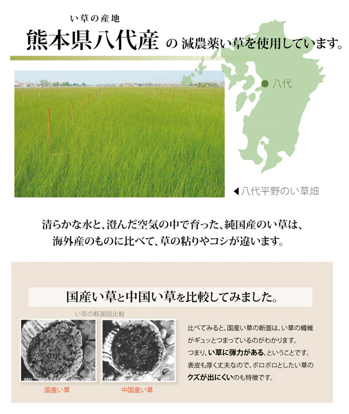 熊本県八代産減農薬栽培い草使用のい草上敷きカーペット糸引織 西陣(にしじん) 対応サイズ:江戸間・本間・三六間・団地間・六一間
