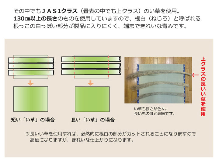 熊本県八代産減農薬栽培い草使用のい草上敷きカーペット糸引織 西陣(にしじん) 対応サイズ:江戸間・本間・三六間・団地間・六一間
