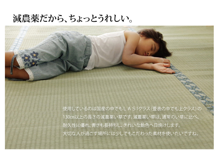 熊本県八代産減農薬栽培い草使用のい草上敷きカーペット糸引織 西陣(にしじん) 対応サイズ:江戸間・本間・三六間・団地間・六一間