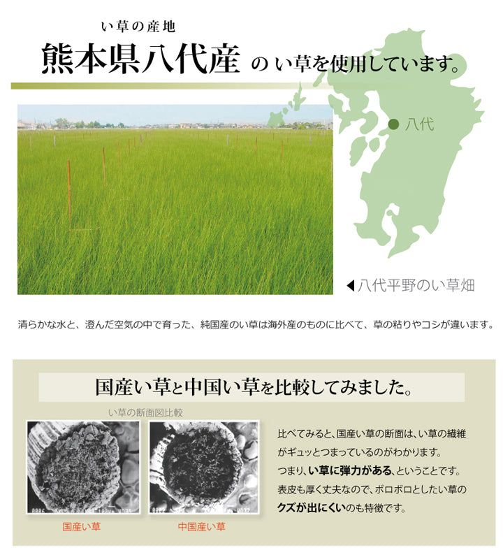 熊本県八代産い草使用のい草上敷きカーペット糸引織 立山(たてやま) 江戸間・本間・三六間・団地間・六一間