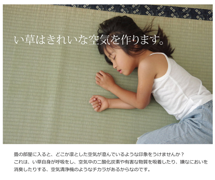 熊本県八代産い草使用のい草上敷きカーペット糸引織 立山(たてやま) 江戸間・本間・三六間・団地間・六一間