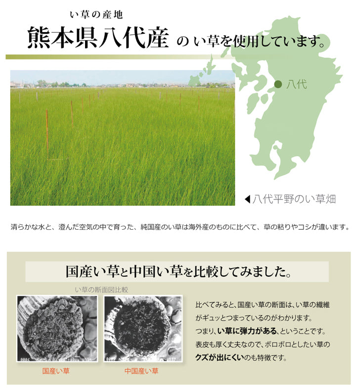 熊本県八代産い草使用のフリーカットできるい草上敷きカーペット市松織 不知火(しらぬい) 裏面ウレタン 江戸間・本間・三六間・団地間
