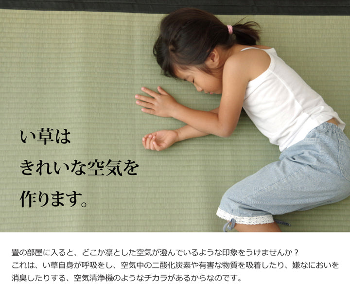 熊本県八代産最高級い草使用のい草上敷きカーペット糸引織 清正(きよまさ) 対応サイズ:江戸間・本間・三六間