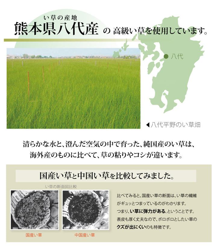 熊本県八代産最高級い草使用のい草上敷きカーペット糸引織 清正(きよまさ) 対応サイズ:江戸間・本間・三六間