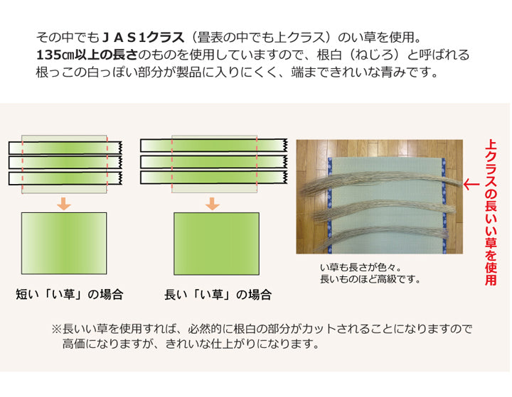 熊本県八代産最高級い草使用のい草上敷きカーペット糸引織 清正(きよまさ) 対応サイズ:江戸間・本間・三六間